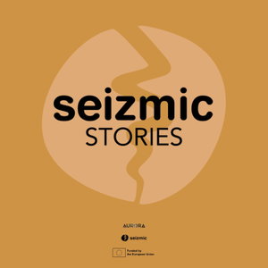 seizmic stories
