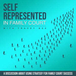 Self-Represented in Family Court
