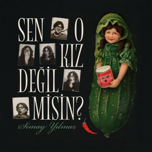 Sen o kız değil misin?