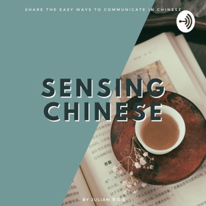 Sensing Chinese 汉语感 Diary and Reflections 