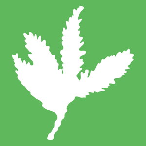 Sequoia Grove Podcast