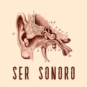 Ser Sonoro