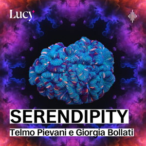 Serendipity