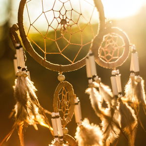 Shamanic Healing with Nick and Hawk