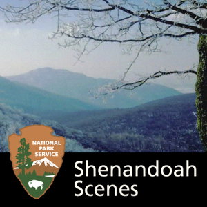 Shenandoah Scenes