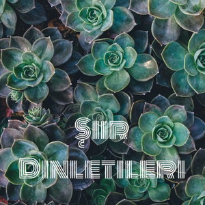 Şiir Dinletileri (Yeni Altyapı) - Ömer Kaya Ekici