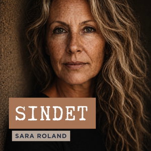 SINDET