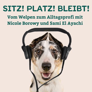 Sitz! Platz! Bleibt! - der Hundepodcast