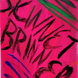 SkinnetBrinner