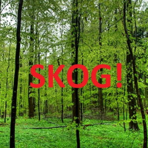 Skog?