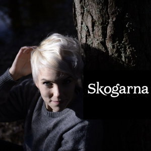 Skogarna
