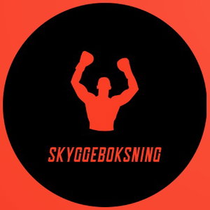 Skyggeboksning