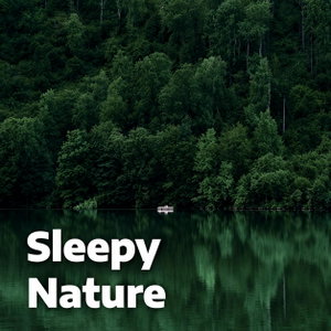 Sleepy Nature – Relaxing Nature Sounds for Sleep & Babies