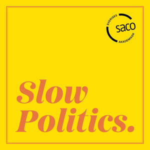 Slow Politics