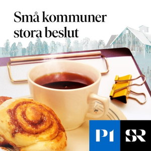 Små kommuner stora beslut