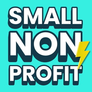 Small Nonprofit: Fundraising Tips, Leadership Strategies, and Community-Centric Solutions for Canadian and American Nonprofits