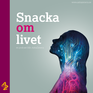 Snacka om livet