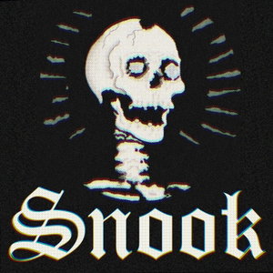Snook