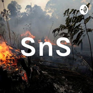 SnS