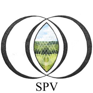 Socialpsykologipodden