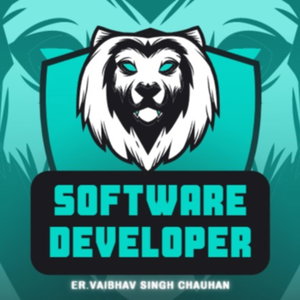 Software Developer