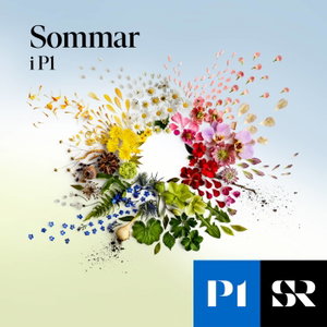 Sommar & Vinter i P1