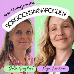 Sorgochsaknapodden