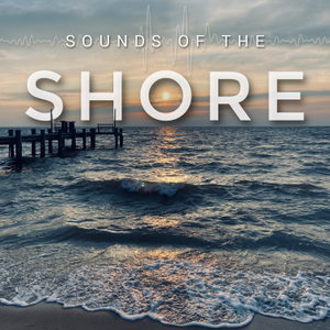 Sounds of the Shore