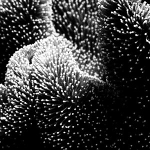 Soundscapes