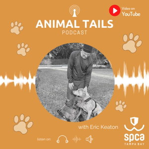 SPCA Tampa Bay Animal Tails Podcast