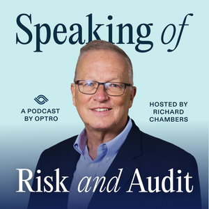 Speaking of Risk and Audit