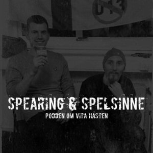 Spearing & Spelsinne