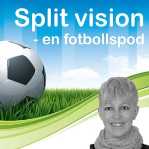 Split Vision