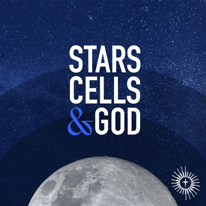 Stars, Cells, and God