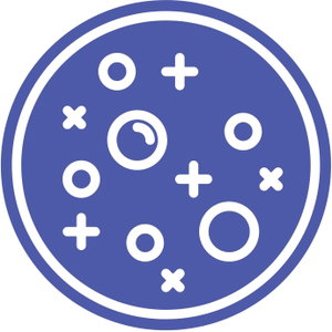 Startup Data Science