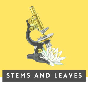 STEMS AND LEAVES