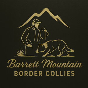 Stock Dog Philosophies Podcast - Barrett Mountain BC