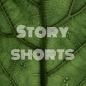 Story shorts