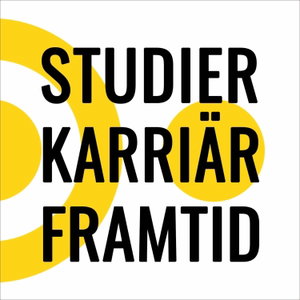 Studier, karriär och framtid