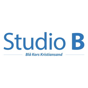 Studio Bransje