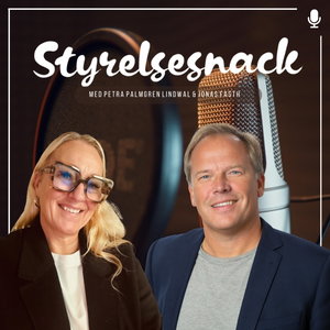 Styrelsesnack