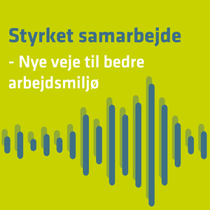 Styrket samarbejde - Nye veje til bedre arbejdsmiljø