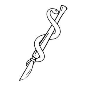 Surgical Snippets