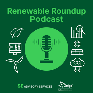 Sustainability Business