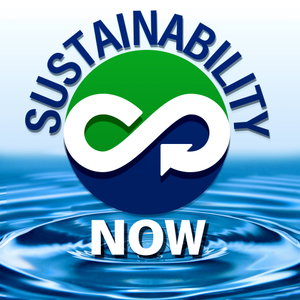 Sustainability Now - exploring technologies and paradigms to shape a world that works