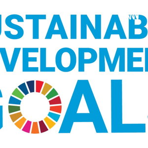 Sustainable Development Goals 