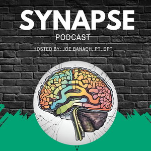 Synapse