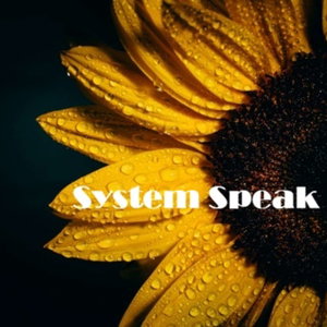 System Speak: Complex Trauma and Dissociation