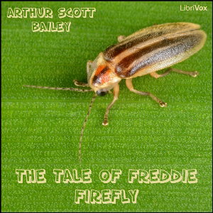 Tale of Freddie Firefly, The by Arthur Scott Bailey (1877 - 1949)