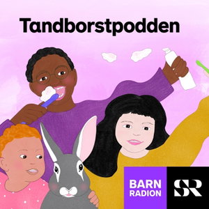 Tandborstpodden